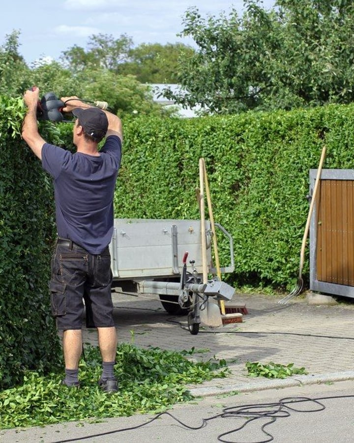 Tuinman - Willebroek