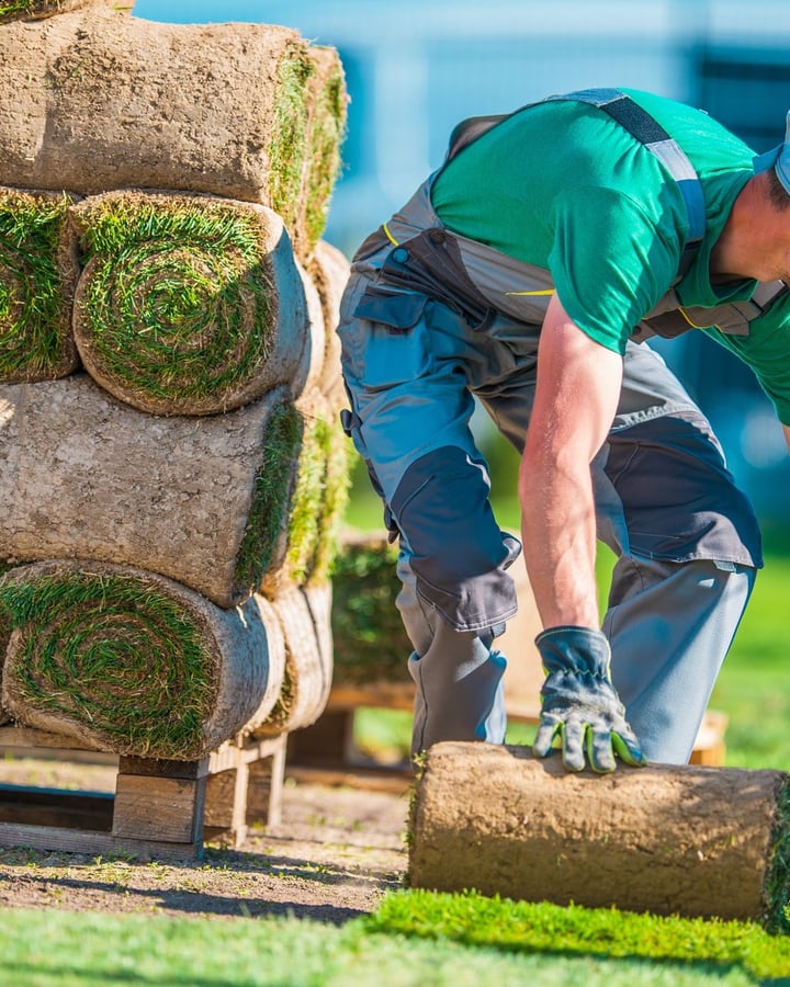 Tuin aanleggen - Geel