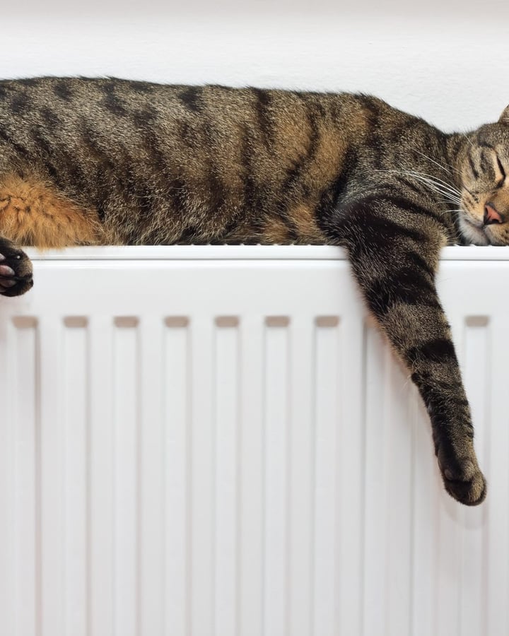 Verwarming - Gent